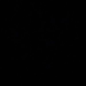 Meet your Posher, Bridget